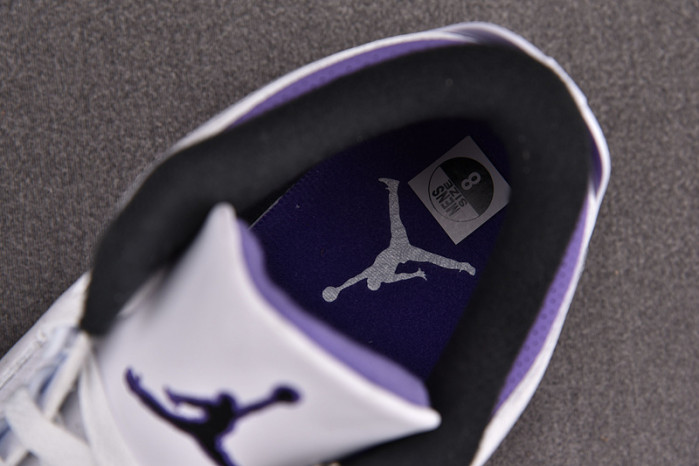 Air Jordan 3 Dark Iris CT8532-105
