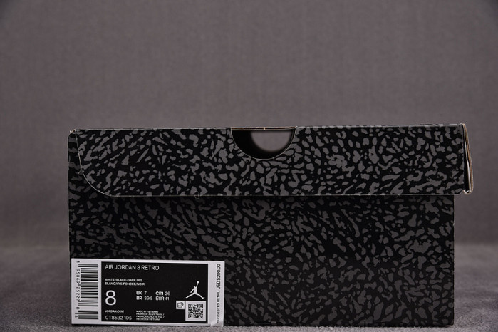 Air Jordan 3 Dark Iris CT8532-105
