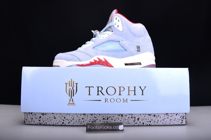 Jordan 5 Retro Trophy Room Ice Blue CI1899-400