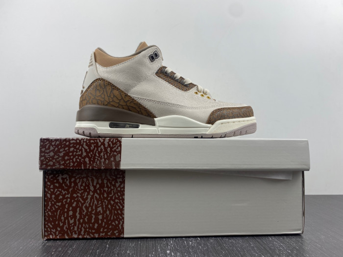 Air Jordan 3 Palomino CT8532-102