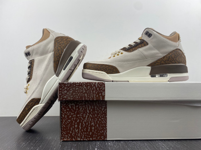 Air Jordan 3 Palomino CT8532-102