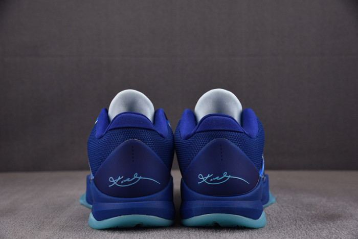 Nike Kobe 5 Protro X-Ray HJ4303-400