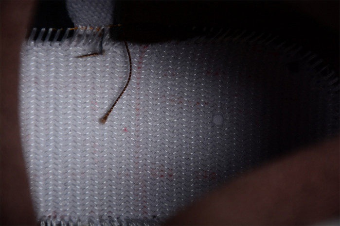 A Ma Maniére x Air Jordan 5 Light Bone FD1330-006