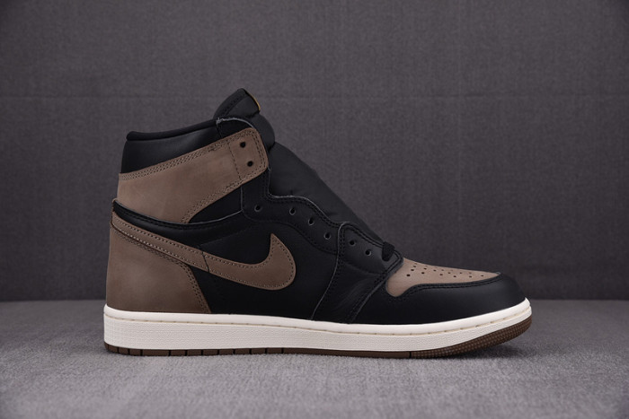 Air Jordan 1 High OG "Palomino" DZ5485-020