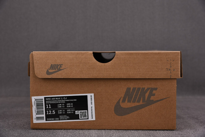 TRAVIS SCOTT X NIKE AIR MAX 1 DO9392-200